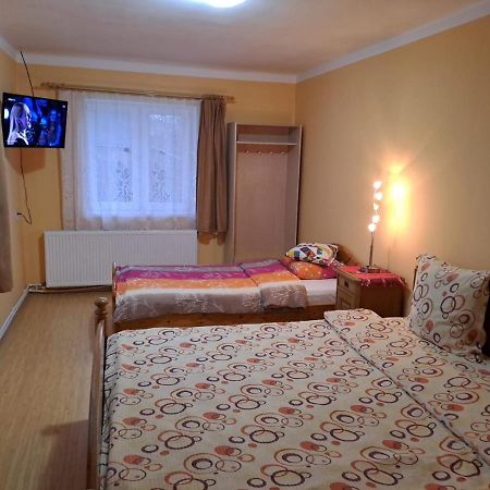 Вилла Casa Argentina Кырцишоара Экстерьер фото
