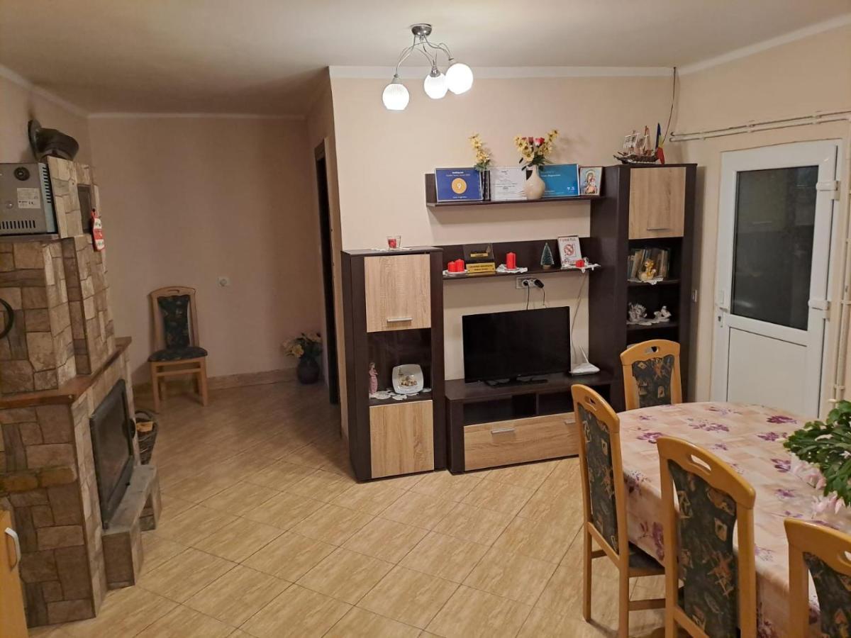 Вилла Casa Argentina Кырцишоара Экстерьер фото