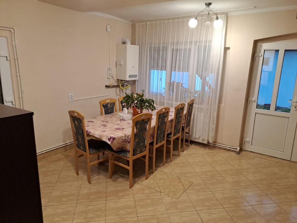 Вилла Casa Argentina Кырцишоара Экстерьер фото