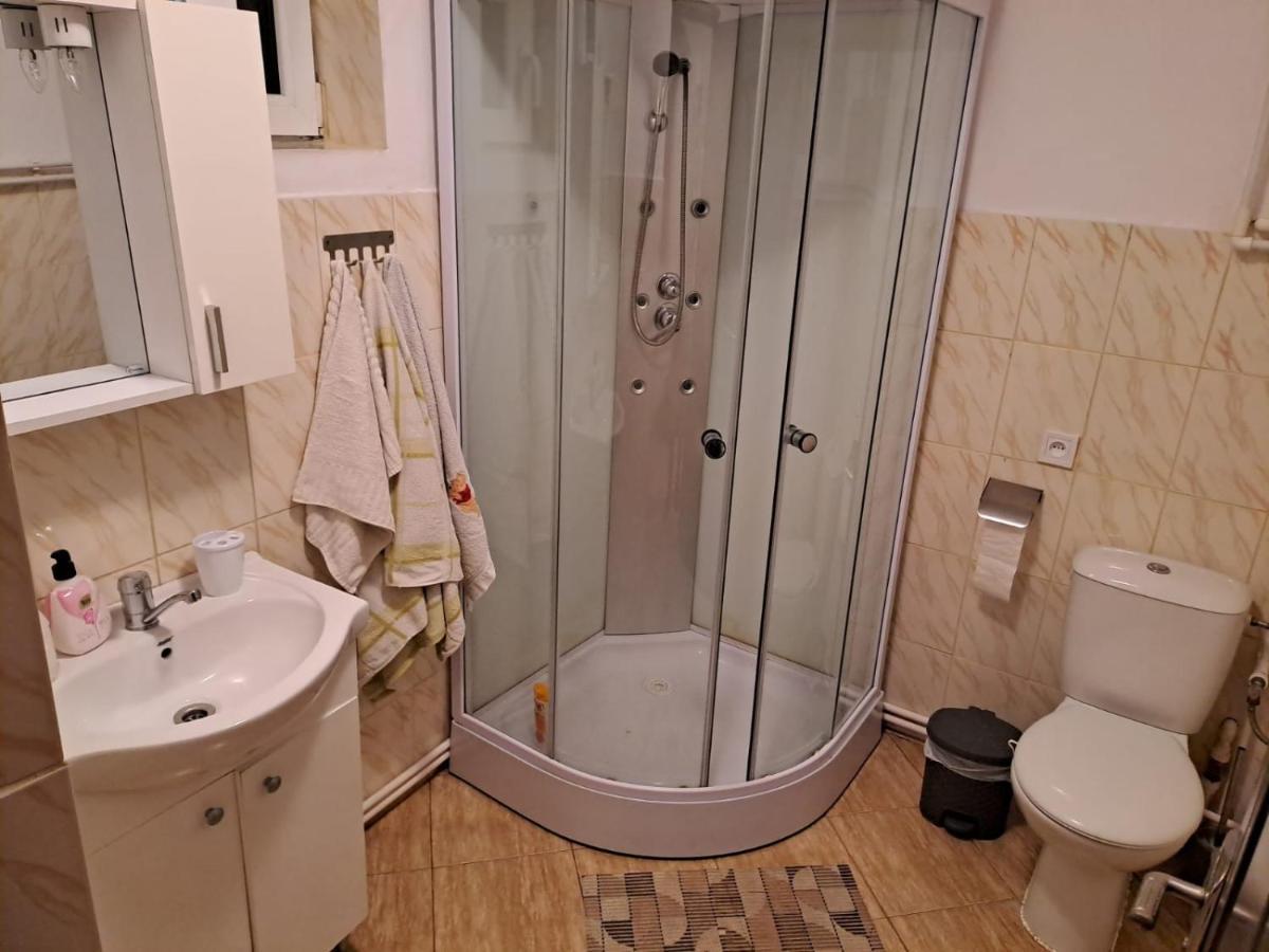 Вилла Casa Argentina Кырцишоара Экстерьер фото
