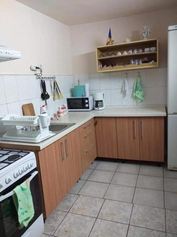 Вилла Casa Argentina Кырцишоара Экстерьер фото